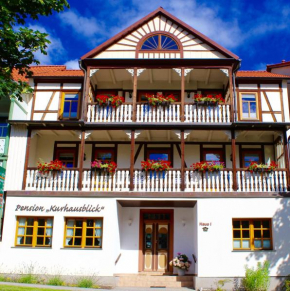Гостиница Pension Kurhausblick  Бад-Зудероде